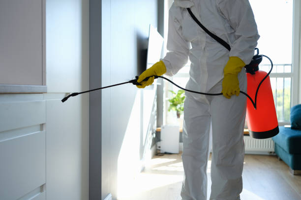 Best Commercial Mold Remediation in Des Moines, IA